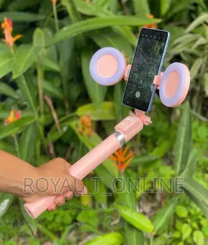 Selfie Stick Tripod With 2 Ring Light and Remote in Abuja