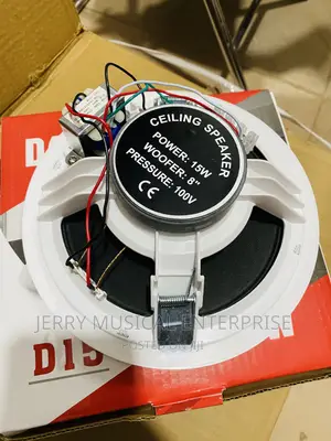 Dart 15watts Ceiling Speakers