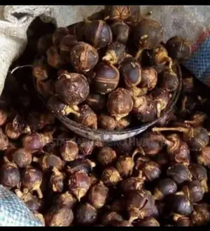 Goron Tula/Miracle Fruit