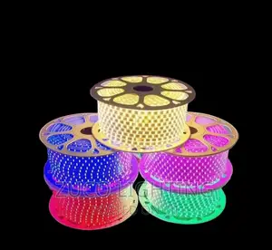 Modern RGB Rope Light for Decoration of House Offices Hotel