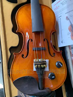 Quality Hallmark Cardinal Concert Electro Acoustic Violin
