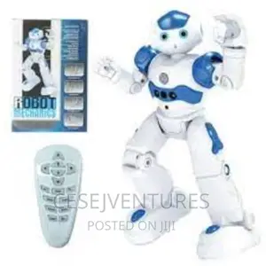 Robotic Mechanic Toys