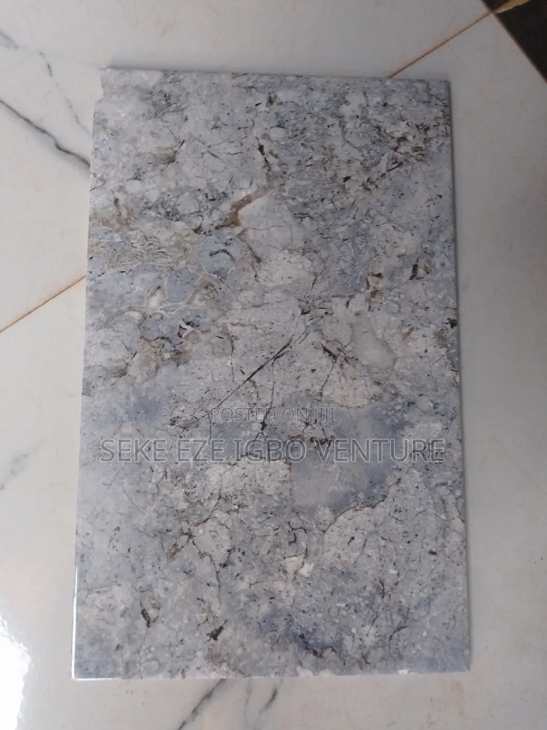 Toilet Wall Tiles