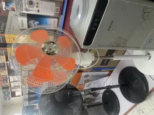 Lg Double Head Fan (360 Degree) 20 Inches