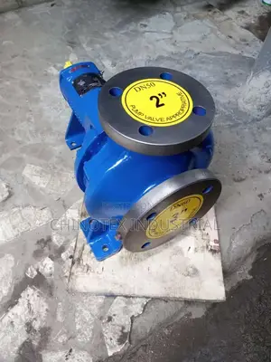 Industrial Water Pump Head 3"/2