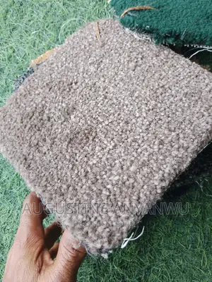 High Quality Vip Wall to Wall Rug Carpet