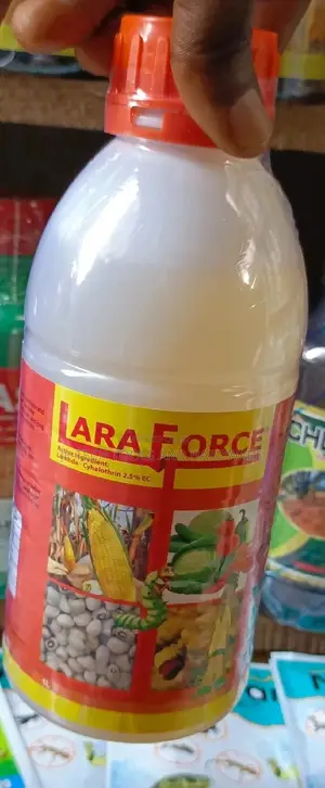 Lara Force