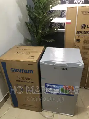 Skyrun BCD-90g Refrigerator 90l