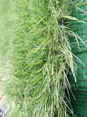 High Quality Turkish Green Grass Rug Carpet 40mm