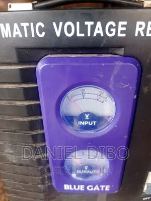 Blue Gate 5000watt Stabilizer