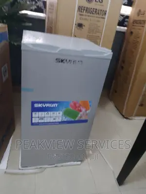 Best Selling Skyrun 90G Refrigerator With Key Lock