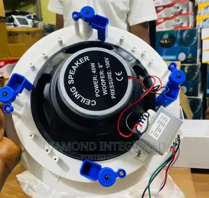 Quality 40w Ceiling Speaker