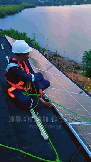 Solar and Inverter Installer