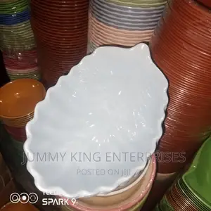 12 PCS Unbreakable Ceramic Plates