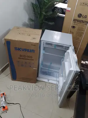 Trending Quality 90G Skyrun Top Freezer Refrigerator+Shelves