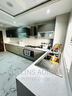 Luxurious 3 Bed Room Newly Built With Swimmin Pool -Vi
