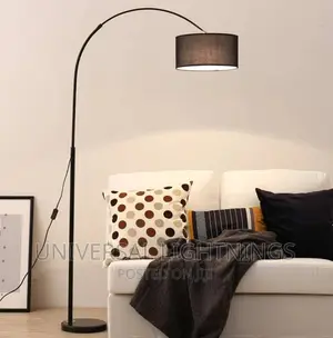 Luxurious Curved Lamp