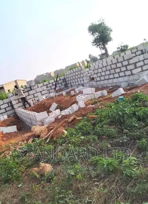 Professional Bricklayer
