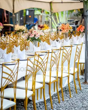 Gold Chameleon Party Chairs