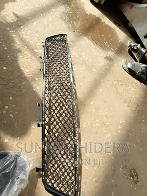 E350 2010/11 Front Bumper Net Center