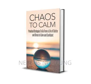 Content Creation, 3D Cover Design, Google Biz Optimization
