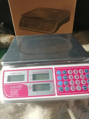 Original Camry Digital Pricing Computing Scale - 30kg