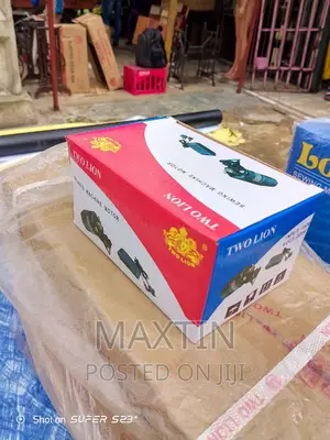 Electric Motor