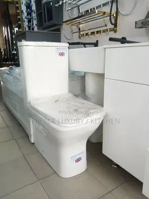Unique Square Shape Seat and Tank WC
