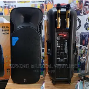 9000watts15inches PA System With 2 Mic and Bluetooth /USB