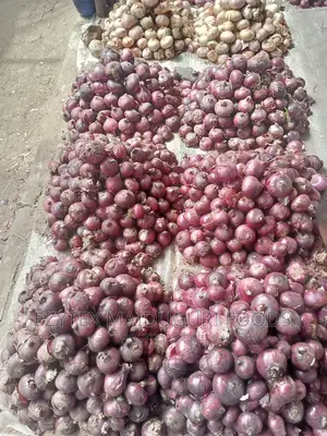 Maiduguri Onions in Bags