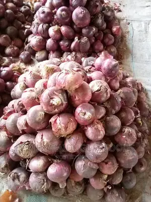 Fresh /Big Onions