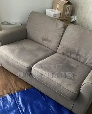 Professional Cleaning, Sofa Cleaning Service