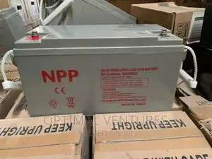 12V 65ah NPP Battery