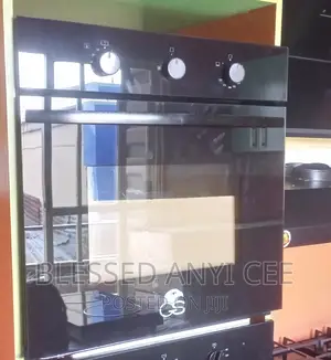 Semi Industrial GS Inbuilt Cabinet Oven Gas and Electric