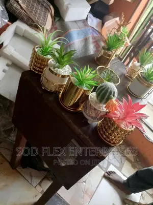 House Decoration Flower Pot