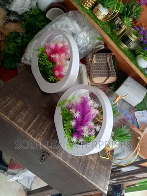 Decoration  Portable Pot