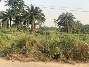 82plots of Land, Facing Owerri/Portharcourt Road(Umuapu)