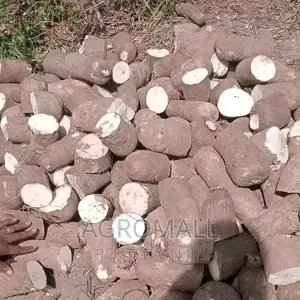 Hybrid Yam_treated