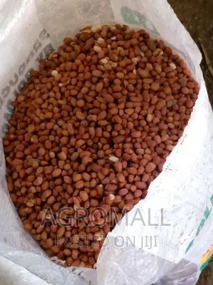 Hybrid Groundnut (SAMNUT)_1KG