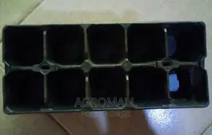 Seed Trays _ With Different Holes