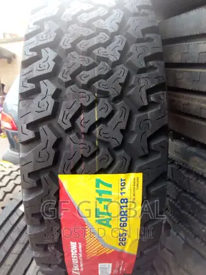 Silverstone and Bridgestone Tires