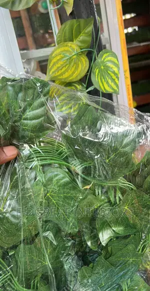 Dropping or Gallant Flowers