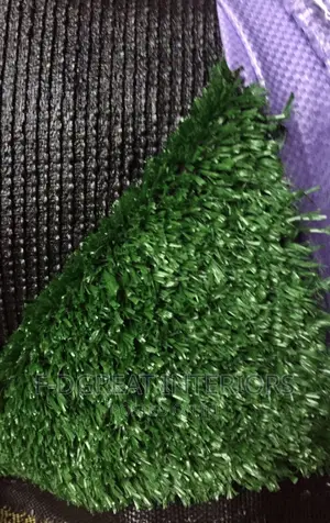 Carpet Grass