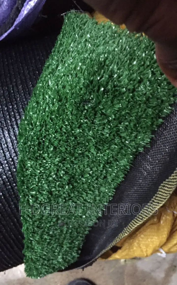Carpet Grass