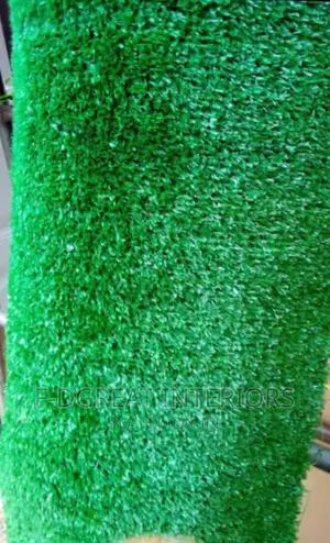 Carpet Grass