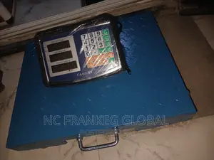 300kg Wireless Digital Cammry Scale