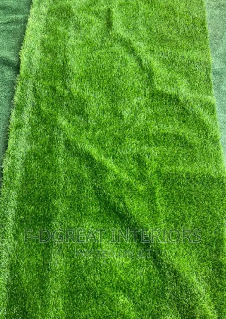 Carpet Grass