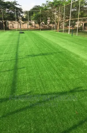 Artificial Grass Carpet