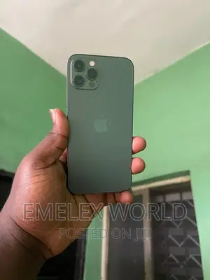 Apple iPhone 12 Pro Max 128 GB Gray