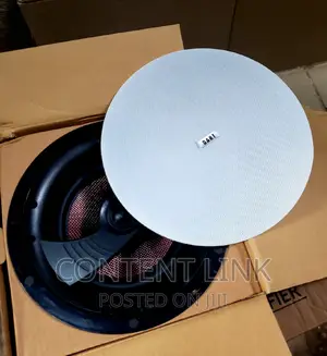 50 Watts DART Frameless Ceiling/Pop Speakers